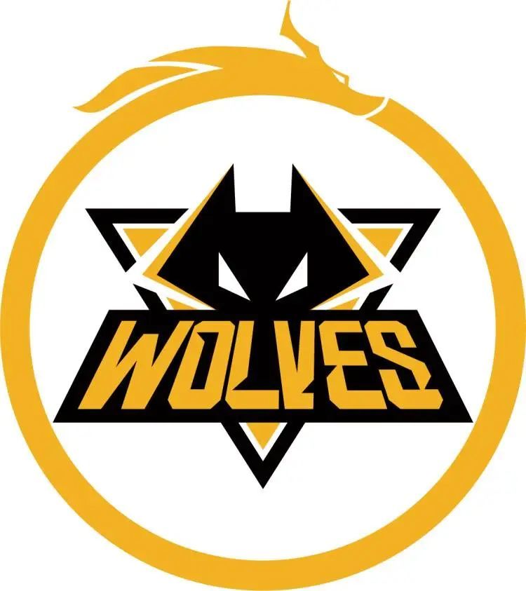 Vitality 战胜 Mouz 进入 IEM 成都 2025 决赛