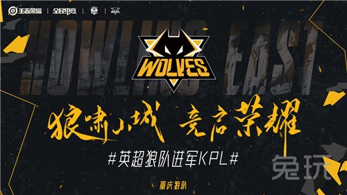 稳定器
